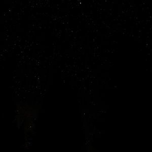 Meet your Posher, Hector